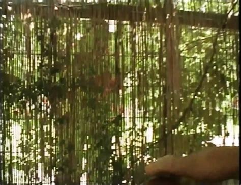 Casella Post 19 Full Movie Italian Blowjob Blowjob Porn XHamster