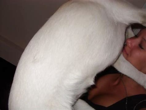 Bibi Jones By Frankoooo Porn Pictures Xxx Photos Sex Images Pictoa