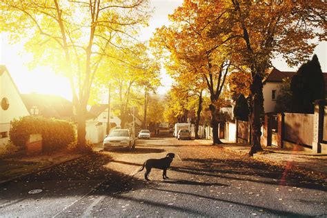 August 15 Weather: It will be a hot, sunny day in southern Ontario ...