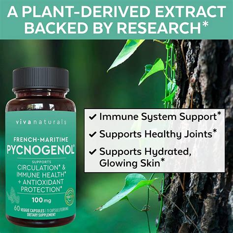 Pycnogenol 100mg French Maritime Pine Bark Extract - Healthy Blood ...