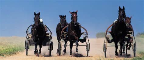 L’esprit DYNAVENA | Dynavena