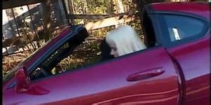 Jennifer Avalon Devin DeMoore Pickup Lines 11 Porn Videos