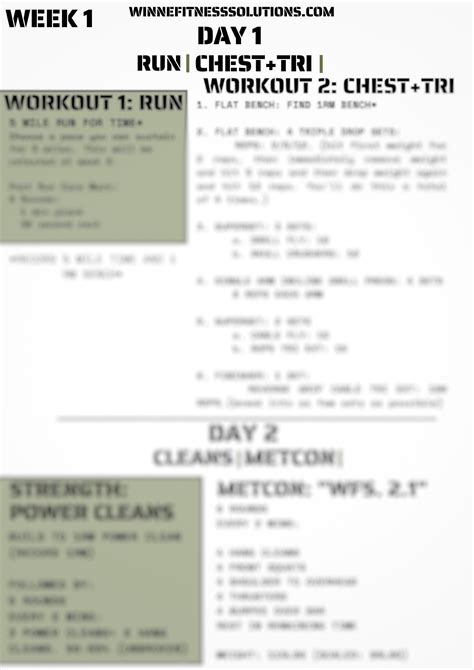 FITNESS PROGRAM — WINNE FITNESS SOLUTIONS