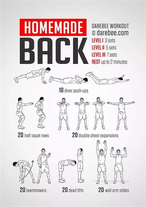 Visual Workouts By Darebee Back Workout Back Exercises Chest And