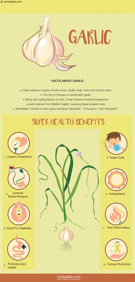 8 Health Benefits Of Garlic Lehsun 7 Healthy Garlic Recipes Garlic