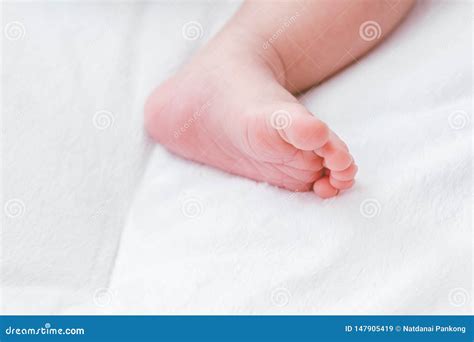 New Born Baby Feet Stock Image Image Of Closeup Baby 147905419