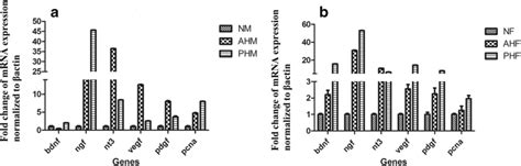 Sex Difference Neuroprotection Through Neurotrophic Growth Factors