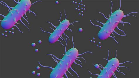 3d Bacteria Model Turbosquid 1726168