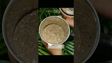 Homemade Organic Fertilizer From Peanut Shells Organic Gardening By Indian Architect Youtube