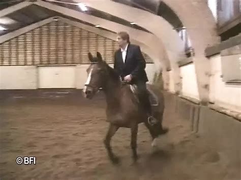 Free Vintage Slave Porn Videos XHamster