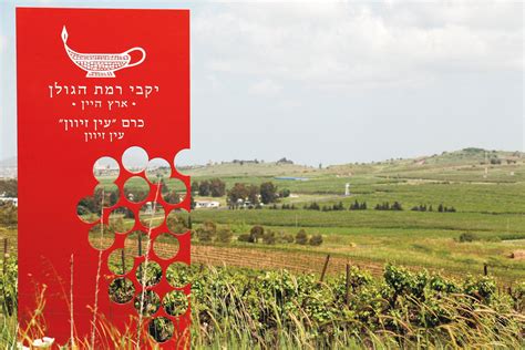 The Changing Style Of Israeli Wine Wine Enthusiast