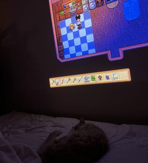 essaere (uessaere) - Reddit