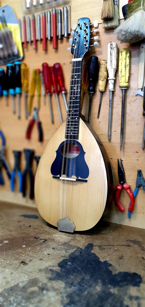 Bowl Back Mandolin For Sale Only 4 Left At 70