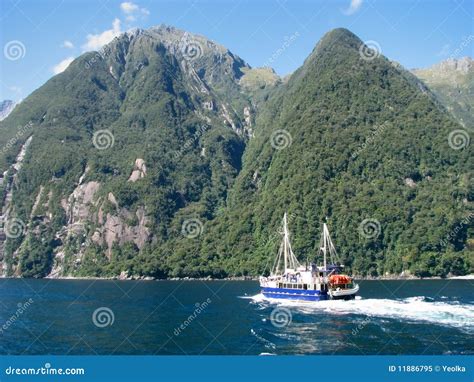 Fiord stock image. Image of fiordland, national, reflection - 11886795