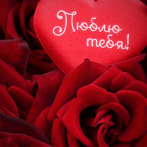 Ярко-красная роза и сердечко - Скачайте на Davno.ru