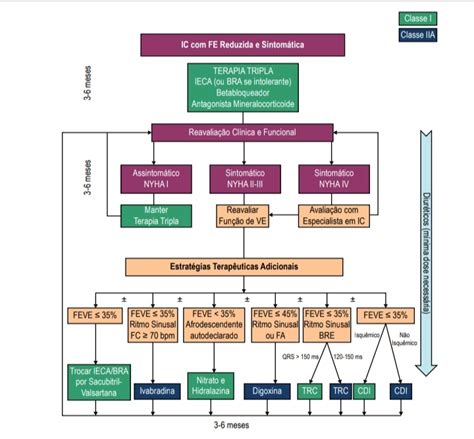 Ambulatório De Cardiologia Como Diagnosticar E Tratar As Patologias