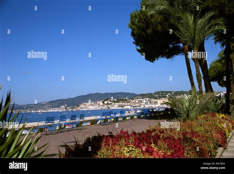 French Riviera Cannes Stock Photo Alamy