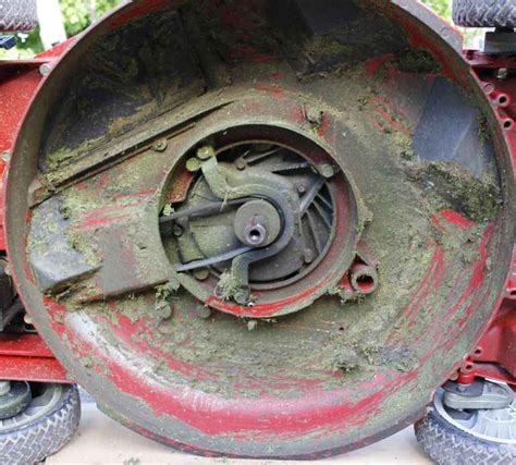 Drain Oil Honda Lawnmower