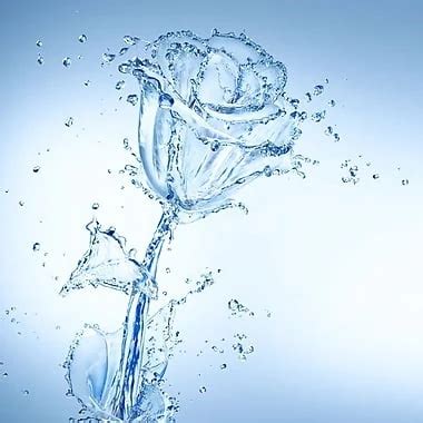 Katheter Klistier Free HD Porn Video 02 XHamster