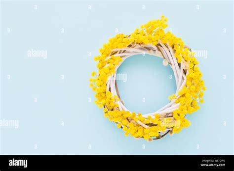 Mimosa Wreath With Pussy Willow On A Light Blue Background Spring Or Easter Concept Stock Photo