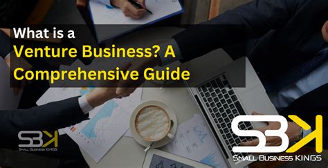 venture business  comprehensive guide sbk