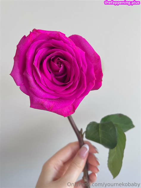 Yournekobaby Nude OnlyFans Photo The Fappening Plus