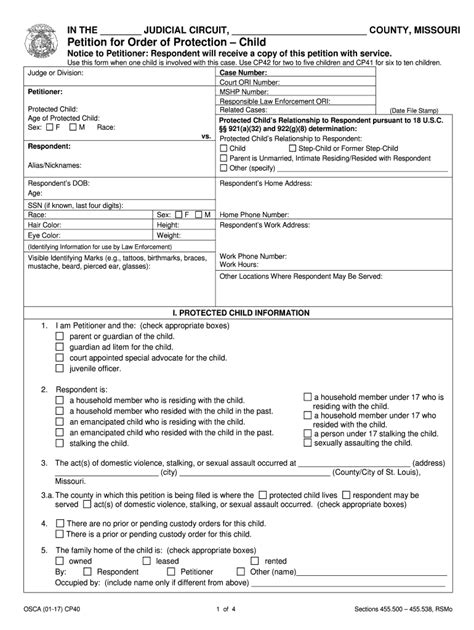 In The Circuit Court Of County Missouri Missouri Courts Mo Gov Form