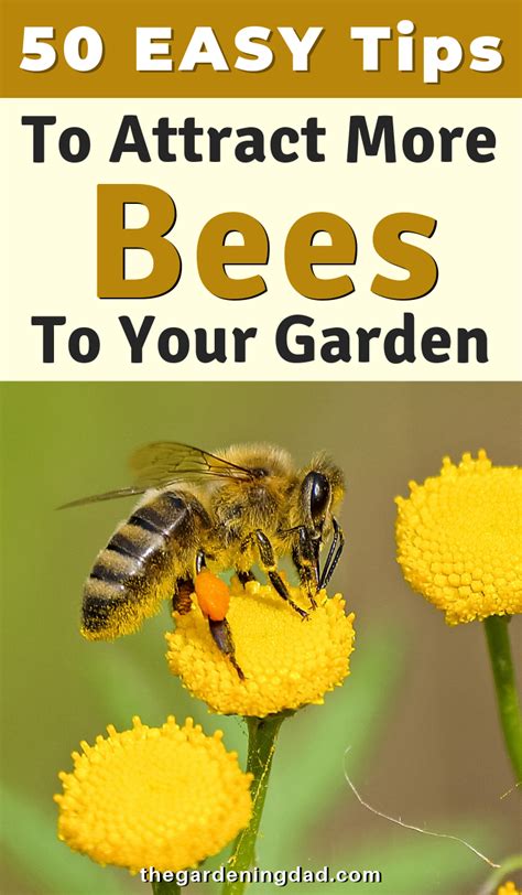 50 Useful Plants That Attract Bees To Your Garden Bee Friendly Garden