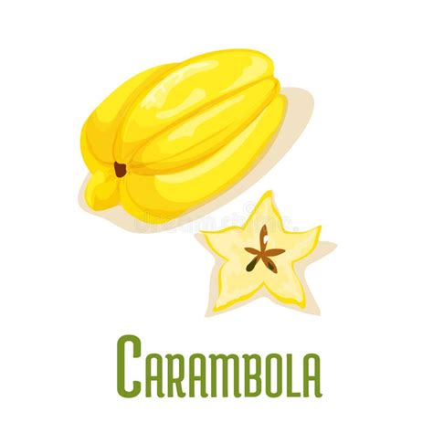 Icona Esotica Di Vettore Della Frutta Tropicale Della Carambola