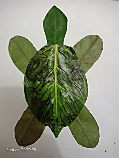 Detail Contoh Gambar Kolase Dari Daun Kering Koleksi Nomer 31