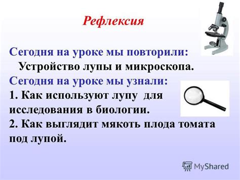 Презентация на тему: "Устройство увеличительных приборов (лупа ...