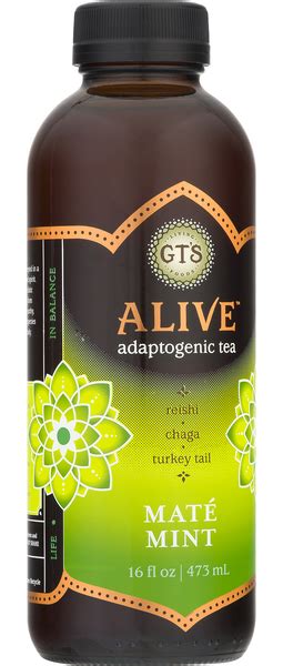 Gt S Alive Adaptogenic Tea Mate Mint Hy Vee Aisles Online Grocery