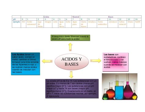 Mapa Mental Sobre ácidos E Bases Mapa Meta