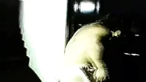 Orgasmo Non Stop Free Vintage Porn Video Xhamster