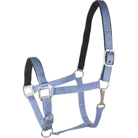 Gatsby Suede Padded Nylon Horse Halter Is Simple Modern Style