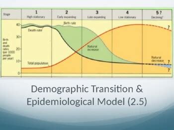 AP Human Geography - Topic 2.5 (Demographic Transition Model) | TPT