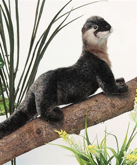 Love This Otter Plush Toy By Hansa Toys On Zulily Zulilyfinds