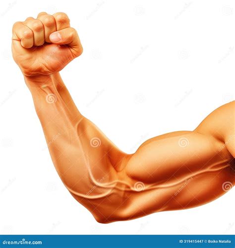 Bodybuilder Biceps Pain Stock Photo | CartoonDealer.com #61059912