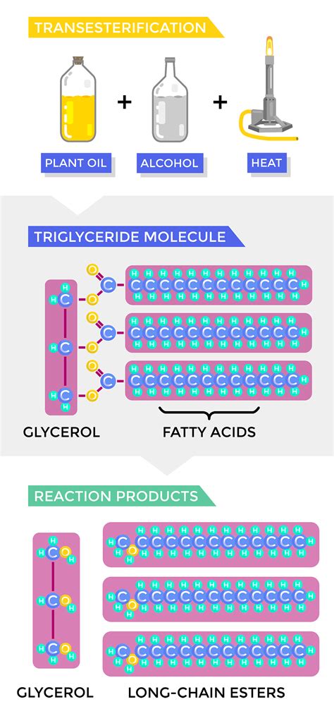 Understanding Biodiesel: A Complete Guide