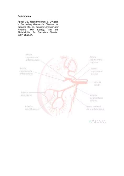 Sindrome De Goodpasture Pdf