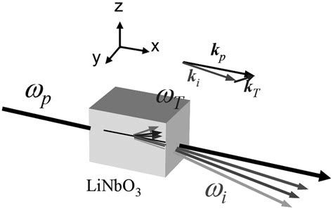 Dispersion Relation Of The Polariton A An Elementary Excitation Is