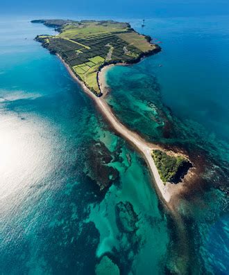 Tauranga Historical Society The Tonanau And Te Haramiti 1831