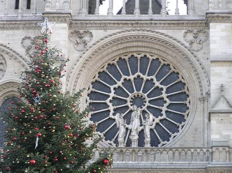 La Navidad llega a París en Notre Dame Diario de un Turista Diario de