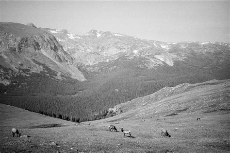 Trail Ridge Road On Film Canon Sure Shot 120 Kodak Tri X 4 Flickr