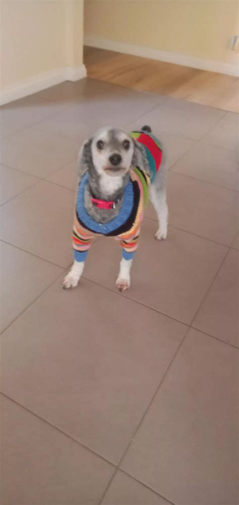 Detective Sam Loves Her New Jacket Nudes Sweaterpuppies NUDE PICS ORG