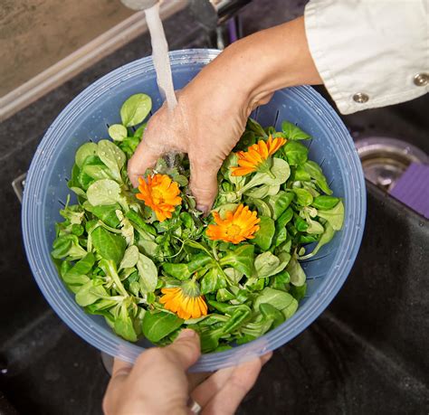 Tag der gesunden Ernährung | Verbandsgemeinde Bad Marienberg