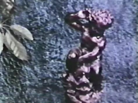 Peepshow Loops 282 Vintage Porn XHamster