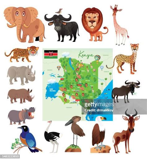 83 African Savanna Map Stock Photos High Res Pictures And Images