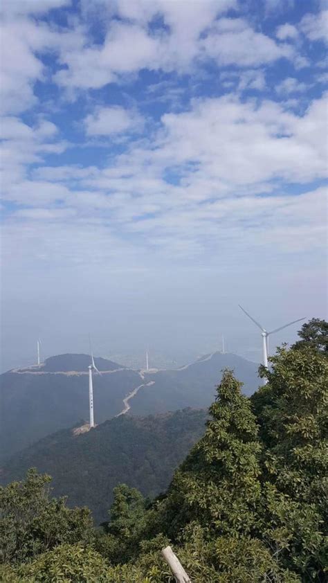 廣東惠州鹽洲島，有山有海的小眾網紅海島，兩天一夜吃住行全攻略 每日頭條