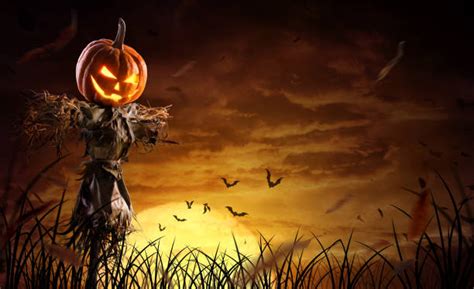 Halloween Scarecrow Stock Photos Pictures And Royalty Free Images Istock